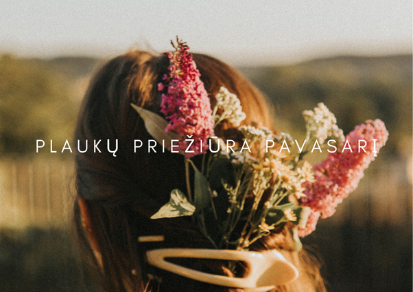 Ką pavasarį reikia žinoti apie plaukų drėgmės atstatymą?