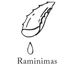 Raminimas