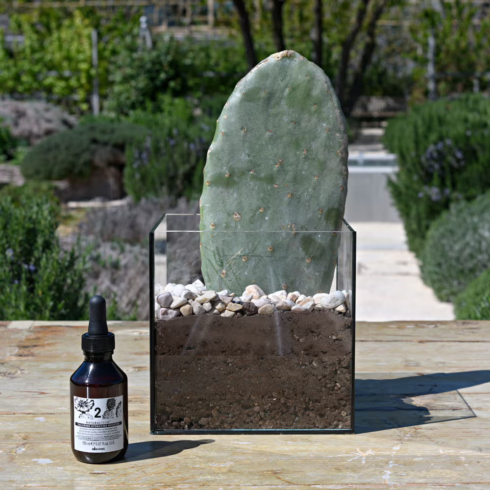 Drėkinantis superaktyvas